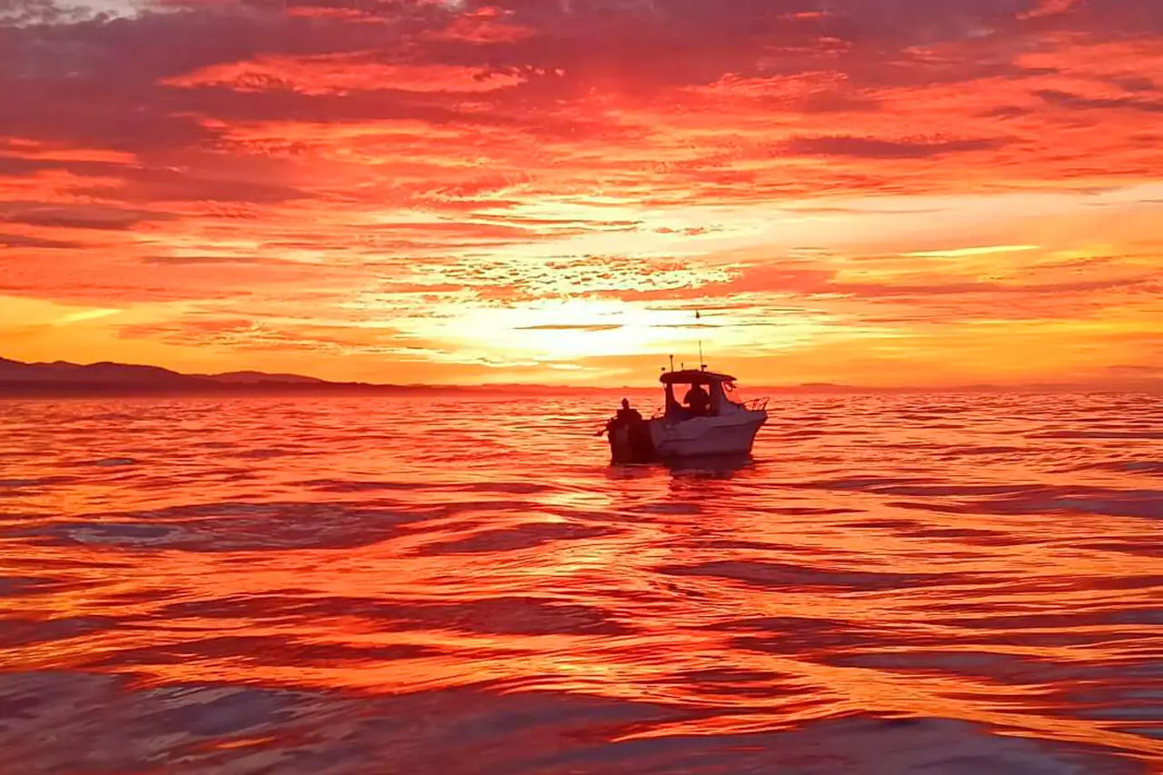 Navega, elige tu aventura